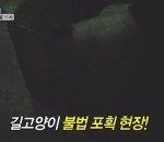 4월5일 먹거리x파인 보셨나요?