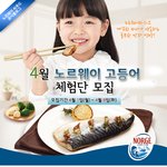 노르웨이 고등어 <b>체험단</b>을 모집합니다~