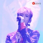 밤 범 봄 기보미 <b>햄찌</b>