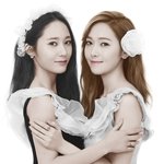<b>정자</b>매의 위엄.jpg