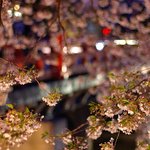 달달한 로망돋는 2013 전국 벚꽃축제 <b>일정</b>^^