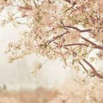 딱 좋은 여행~ 빈폴아웃도어 글램핑 페스티벌에 <b>수수</b>커플이오네요~