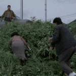 각 나라별 성범죄자 처벌 하는 법 !! 제발 우리도...