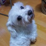 귀염둥이~ "둥" 입니다. ^^