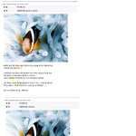 <b>애완</b>동물류 甲