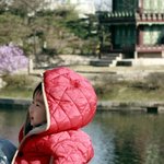 <b>최선정</b>