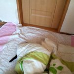 [냥판] 대두김용배의 꼭꼭 숨어라~