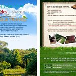 싱글싱글한 싱글즈 싱글 여행기