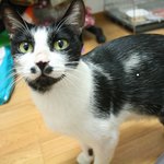 길에서 네번의 출산을 한 아코아줌마의 이야기입니당~^^;