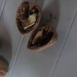 세훈이 <b>생파</b> 광탈기념