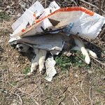 광탄)새끼들의<b>처참</b>한죽음(진행상황)