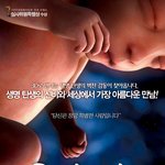 썸녀랑 볼만한 영화로 이거 어떤가요? ^^;; <b>여자</b>분들 <b>의견</b> 좀...