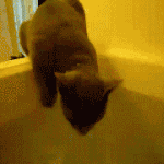 <b>라바</b>의 무서운 이야기(단편) 38