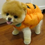 보육교사자격증 드디어 받았네요!! (사진)