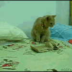 <b>라바</b>의 무서운 이야기(단편) 40