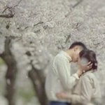 그 겨울로 여신 종지부 찍은 송혜교!! 혼자만 화보인 듯ㅋㅋ