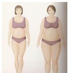 여자들 체형별 엉덩이별 유형 <b>분류</b>