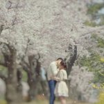 다가온 벚꽃축제, 봄 패션의 완성은 슈즈!