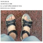 전설의 더블 <b>발찌</b>