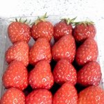 한심한 23살 자취생의 딸기 초콜릿 퐁듀 요리