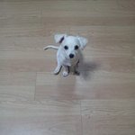울집 <b>장남</b> 해리입니다.