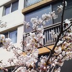 <b>집밖</b>좀나가라방콕러들아