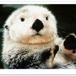 이해불가! 요즘 카스들!!