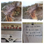 <b>우체통</b>에 새가 알을 낳았어요ㅎㅎ
