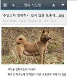 주인조차 <b>정복</b>하기 쉽지 않은 토종개.jpg