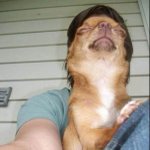 <b>절묘</b>한 셀카