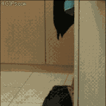 <b>라바</b>의 무서운 이야기41