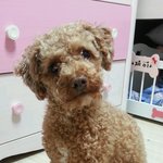 우리집 막내 아들 ! 제이의 <b>엽사</b>? 귀여운 사진 투척!! > _...