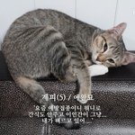 계피가루를 탄 커피를 맛보시겠습니까