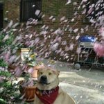 19)<b>경험</b>이 없는데요,,,,