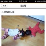 <b>진정</b>한 콜라녀들