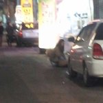 전남대학교 무릎녀를 보다(사진첨부)