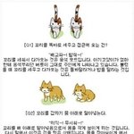 냥이의 <b>행동</b>과 기분 알아보기