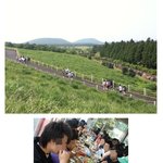 제주도 수학여행<b>필수</b>코스라는데
