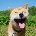 <b>멘탈</b>붕괴