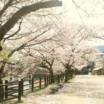 다들 <b>부농</b>이 어디서 만나셨어요?