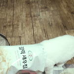 <b>미묘</b>장담~~우리코코소개할께요~~~!!