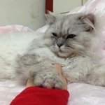 #3)바람잘날없는 우리집은 大식구