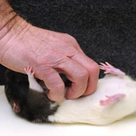 알아도 크게 도움 안되는 진실 -_-;;