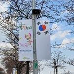 추천 - 여의도 벚꽃축제, 그리고 <b>빕스</b>로 마무리 ! 힐링타임!!