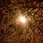 나 참 용기없는 병신새끼다