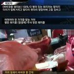 (충격) 통돼지 바베큐의 불편한<b>진실</b>