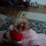 사랑스러운 우리집 <b>은비</b>를 소개합니다.