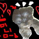 <b>얼음장</b>같았던 집안분위기를 바꿔놓은 강아지 한마리.