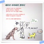 애모리 아저씨(<b>믹스</b>견)