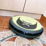 애묘님들, 장묘, 단묘 상관없이 털<b>날림</b> 집에 심하지 않으세요?